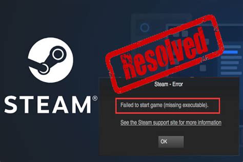 steam missing executable